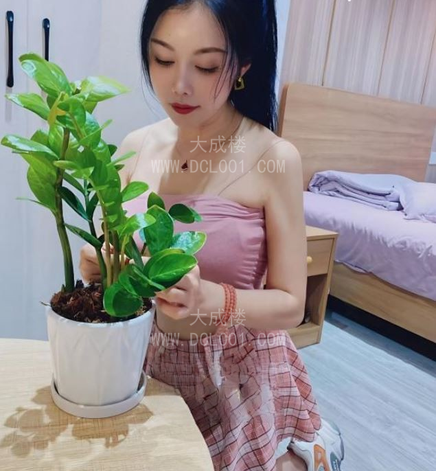 巴音口活无齿感