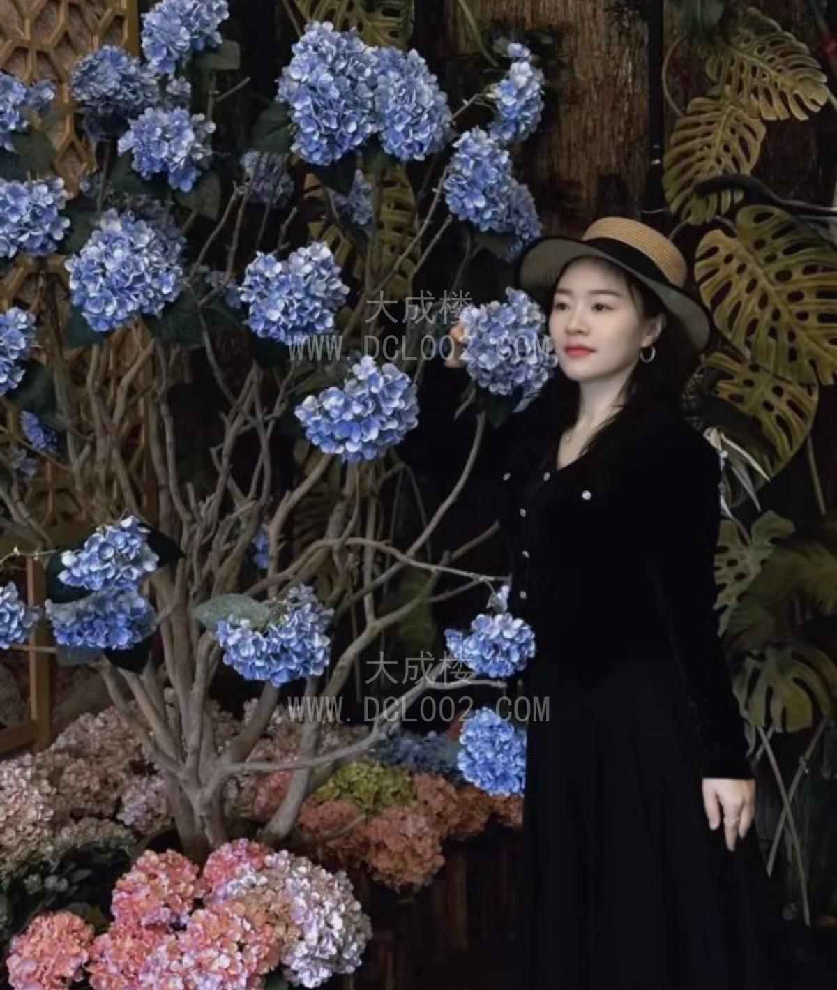 南宁西乡塘楼凤