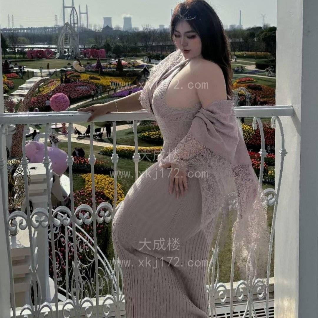 BBW大胸大屁股野子