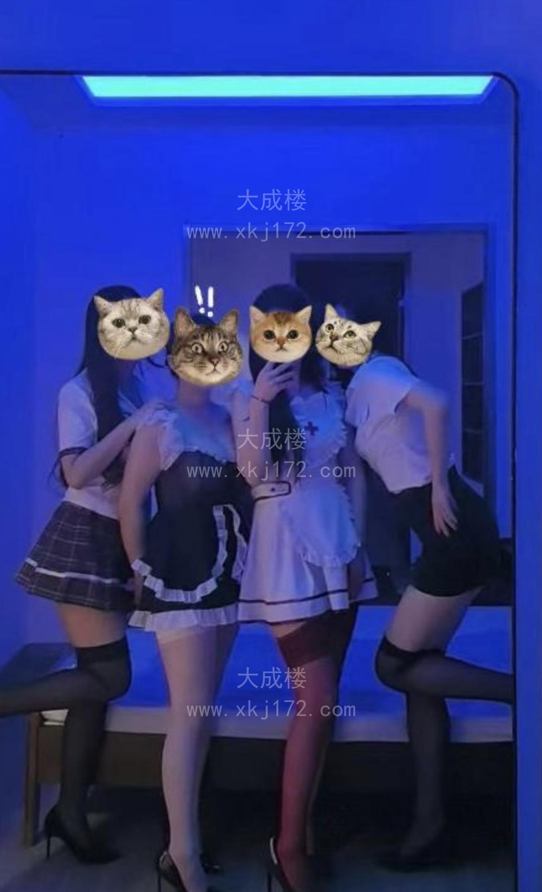 清涩换装主题spa